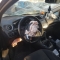 Ford Fiesta 1.2 benzina/GPL 60cv anno 02-2016